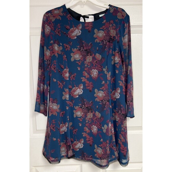 Kimchi Blue Dresses & Skirts - Kimchi Blue Women Dress Medium Blue Pink Floral A Line 3/4 Length Sleeve Lined